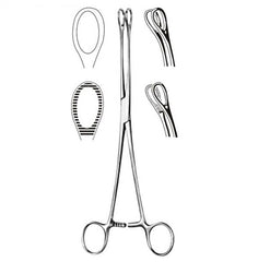Foerster Sponge Forcep- 7 Serrated
