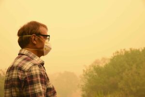 Where to buy N95 masks for wildfire smoke protection?