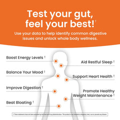 Gut Health Test - Probiotic Analysis - Size: One Kit