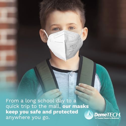 DEMETECH NIOSH N95 Respirator Face Mask, Fold-Style, Pack of 20