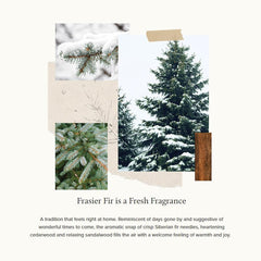 Frasier Fir Scented Candle � 20 Oz