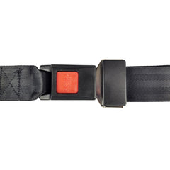 Buckle Up(TM) Wheelchair Seat Belt